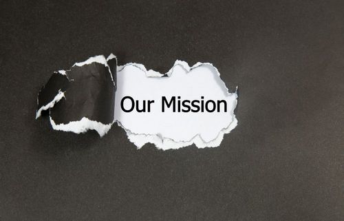 11mission statement